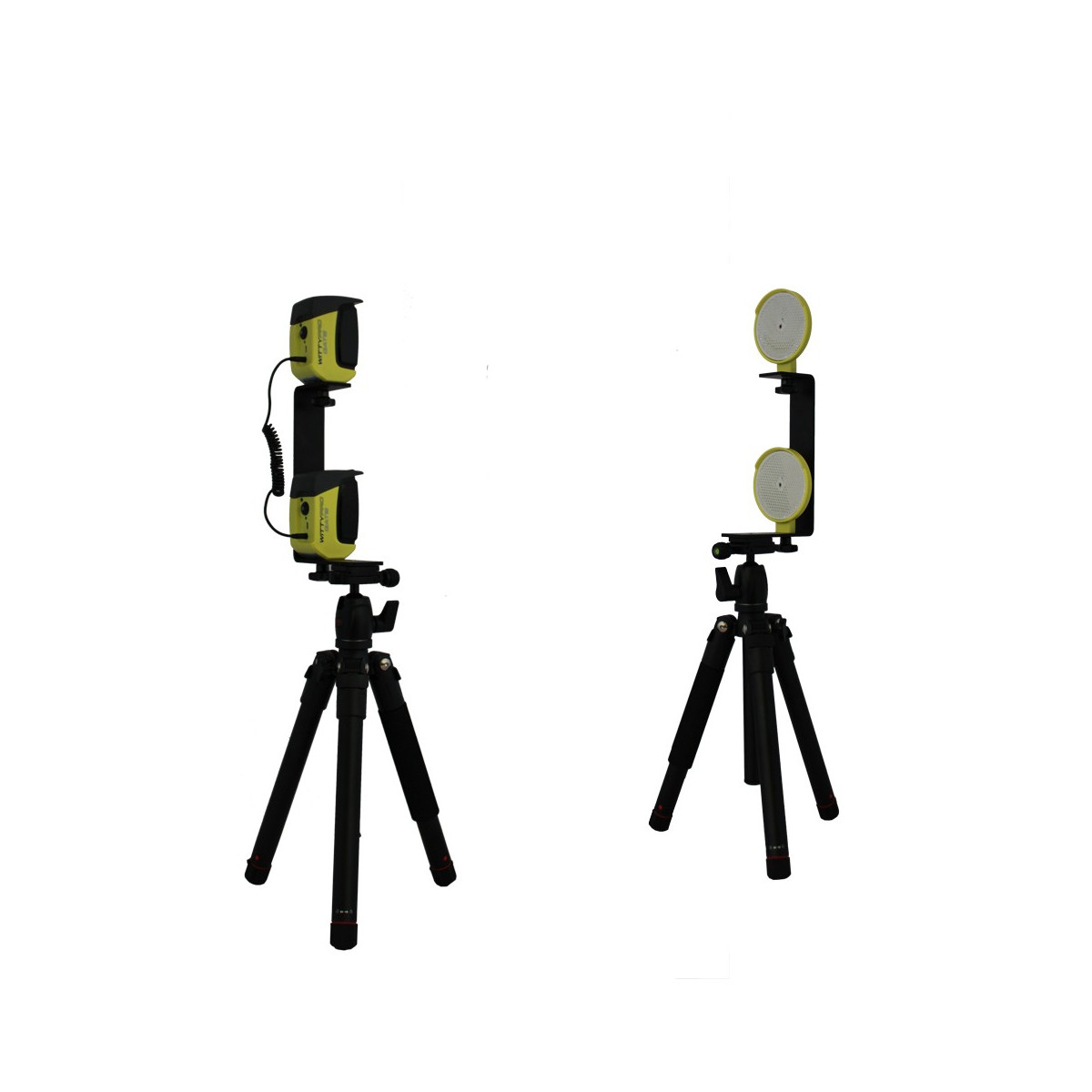 cellule witty migrogate | Mtraining