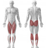 PRESSE A JAMBES 30°