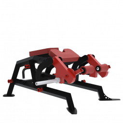 BXT33 - LEG CURL ALLONGE ISCHIOS