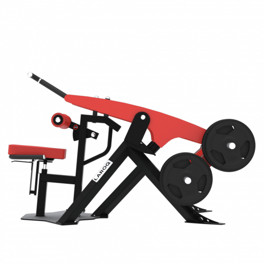 BXT53 - DIPS TRICEPS