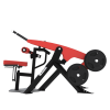 BXT53 - DIPS TRICEPS