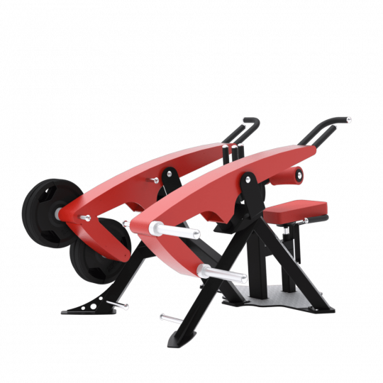 BXT53 - DIPS TRICEPS