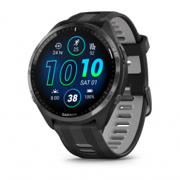 Garmin Forerunner 965 | Mtraining