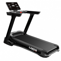 Tapis Laroq série 13