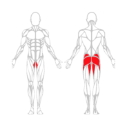 MULTI HIP - Gamme Evolution