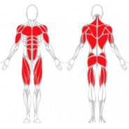 POULIE VIS-À-VIS REGLABLE - Gamme Evolution