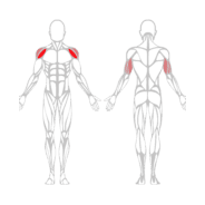 DÉVELOPPÉ EPAULES - Gamme Evolution