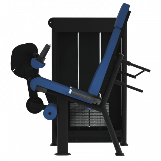 LEG CURL ASSIS - Gamme Evolution