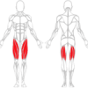 LEG CURL / EXTENSION ASSIS - Gamme Evolution | Mtraining