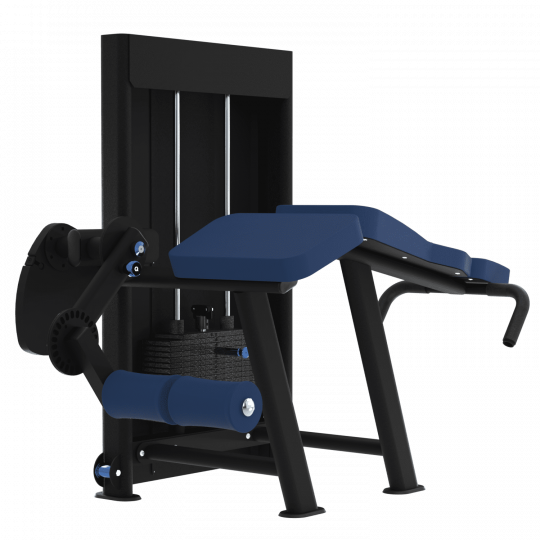 LEG CURL COUCHE - Gamme Evolution