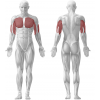 BANC INCLINE DEVELOPPE OLYMPIQUE - Gamme Performance | Mtraining