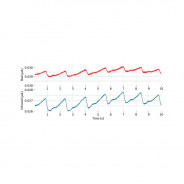 Capteur fNIRS - biosignalsplux | Mtraining
