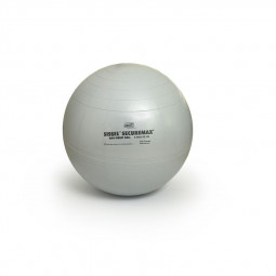 Swiss Ball Securemax 65 cm