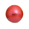 Swiss Ball Securemax 55 cm