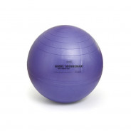 Swiss Ball Securemax 75 cm