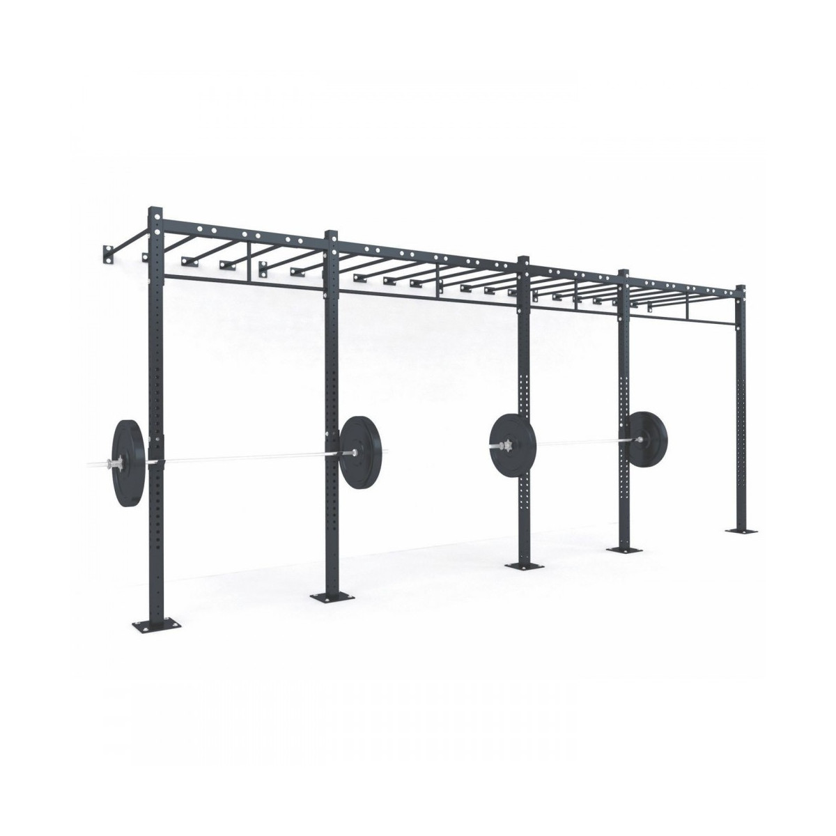 Functional Structure C9 Functional Structure C9