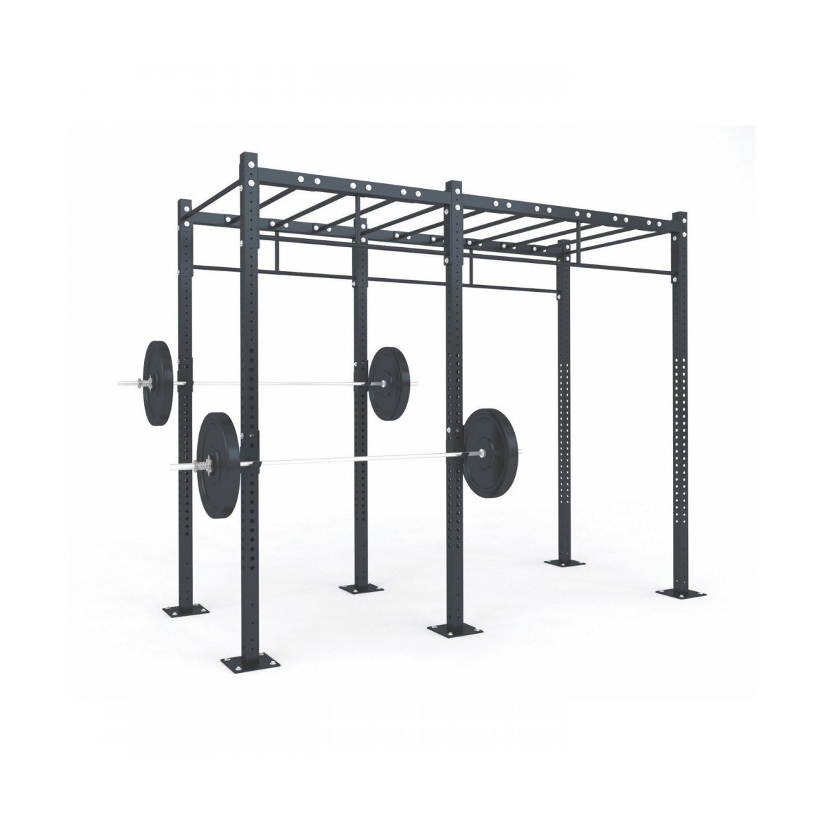 Functional Structure D2 Functional Structure D2