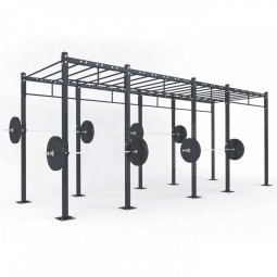 Functional Structure D4